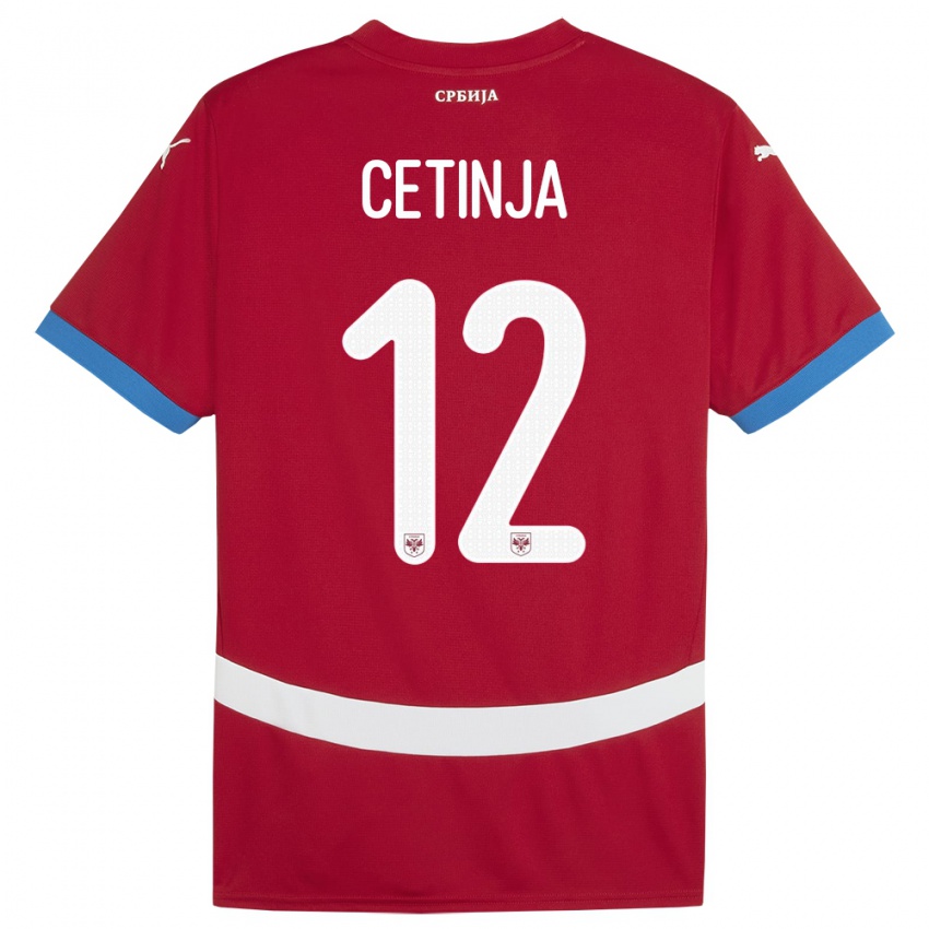 Kinder Serbien Sara Cetinja #12 Rot Heimtrikot Trikot 24-26 T-Shirt