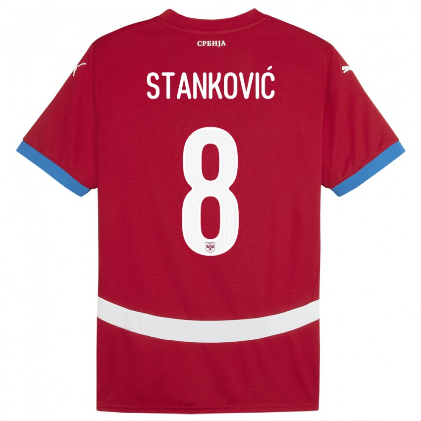 Kinder Serbien Aleksandar Stankovic #8 Rot Heimtrikot Trikot 24-26 T-Shirt