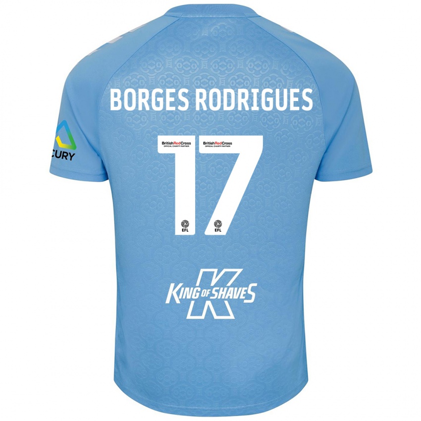 Kinder Raphael Borges Rodrigues #17 Blau Weiß Heimtrikot Trikot 2024/25 T-Shirt